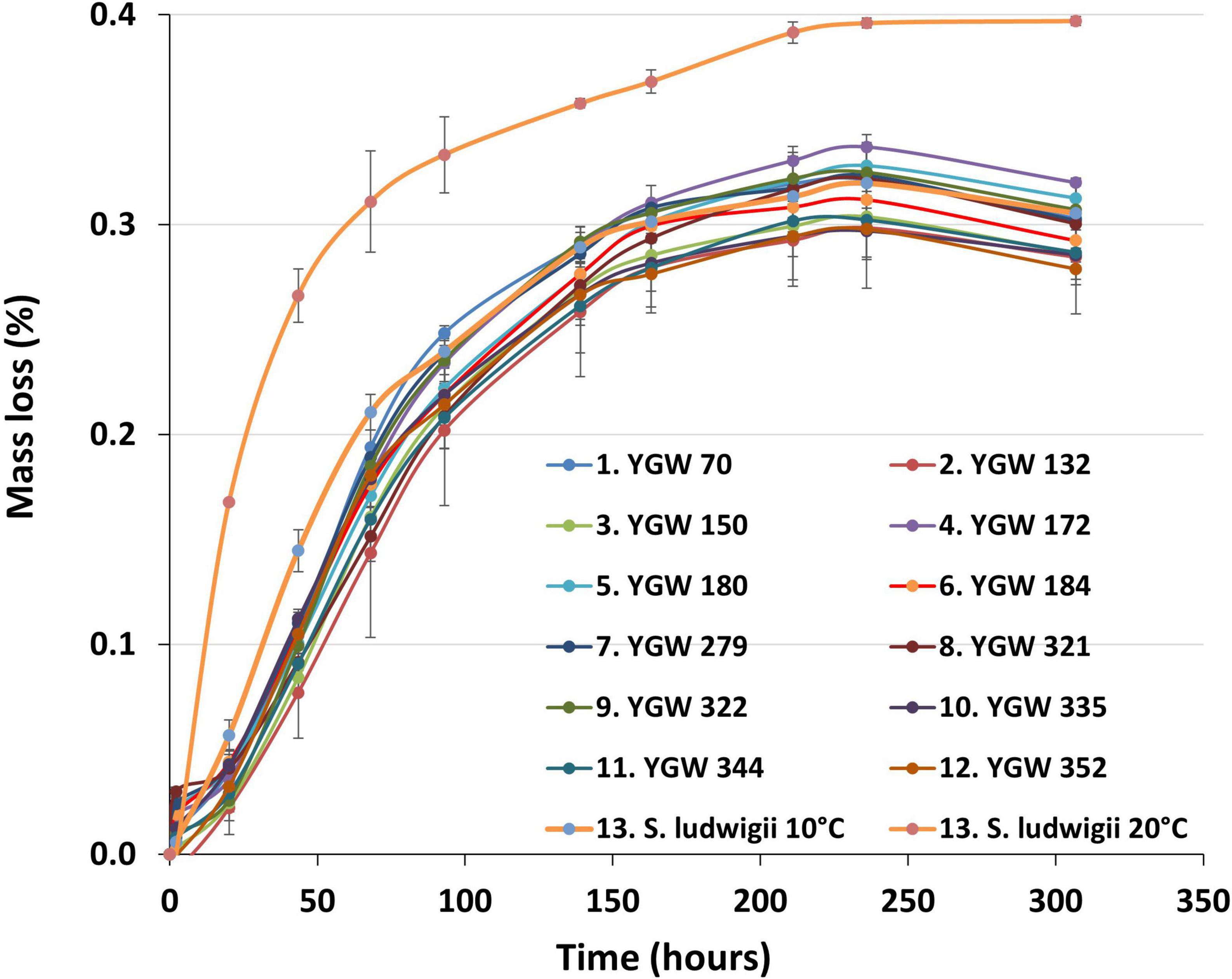 Brewing potential of strains of the boreal wild yeast Mrakia gelida